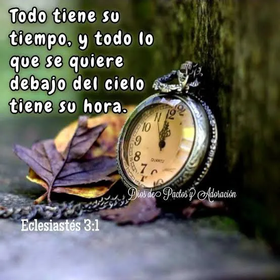 1b0a0d3545004769524bdcee65534411