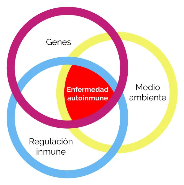 DiagramaEnfermedadesAutoinmunesCF