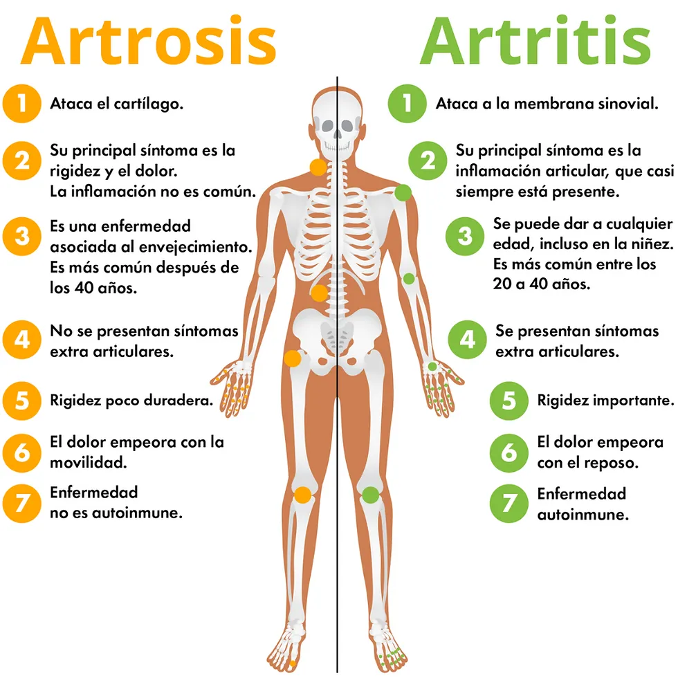 20e8cb_45a91089d9374cc3824020917d325f40~mv2